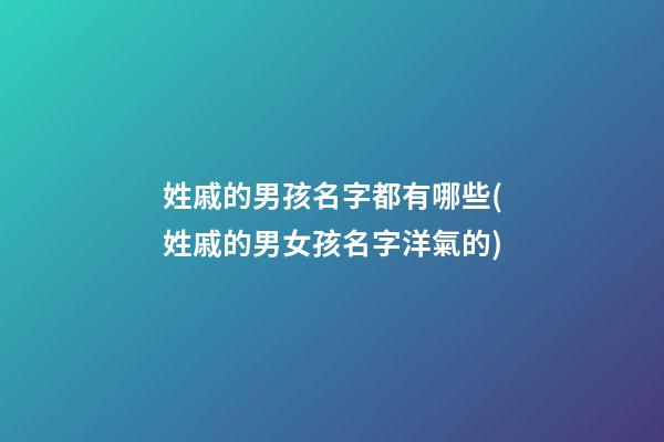 姓戚的男孩名字都有哪些(姓戚的男女孩名字洋氣的)
