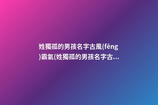姓獨孤的男孩名字古風(fēng)霸氣(姓獨孤的男孩名字古風(fēng)霸氣兩個字)
