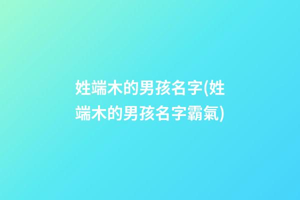 姓端木的男孩名字(姓端木的男孩名字霸氣)