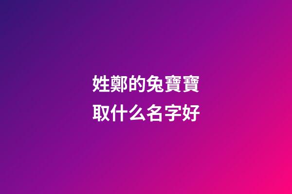 姓鄭的兔寶寶取什么名字好(姓鄭的寶寶起名免費)-第1張-寶寶起名-玄機派