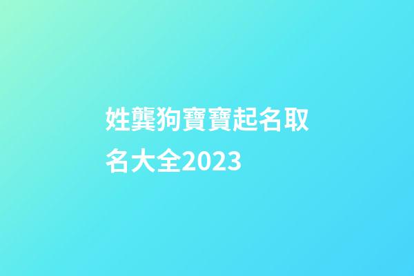 姓龔狗寶寶起名取名大全2023