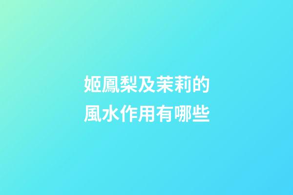 姬鳳梨及茉莉的風水作用有哪些?