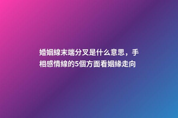 婚姻線末端分叉是什么意思，手相感情線的5個方面看姻緣走向-第1張-觀點-玄機派