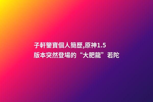 子軒鑒寶個人簡歷,原神1.5版本突然登場的“大肥龍”若陀-第1張-觀點-玄機派