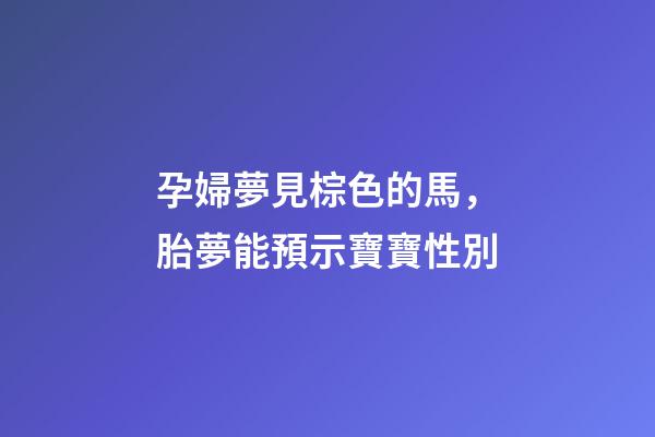 孕婦夢見棕色的馬，胎夢能預示寶寶性別-第1張-觀點-玄機派