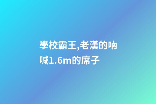 學校霸王,老漢的吶喊1.6m的席子-第1張-觀點-玄機派