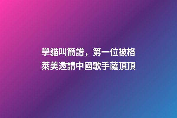 學貓叫簡譜，第一位被格萊美邀請中國歌手薩頂頂-第1張-觀點-玄機派