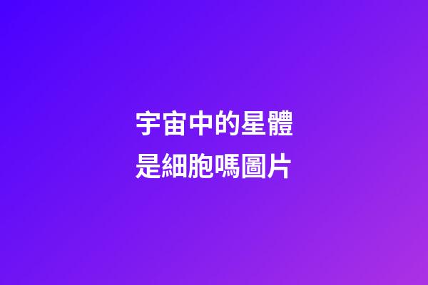 宇宙中的星體是細胞嗎圖片