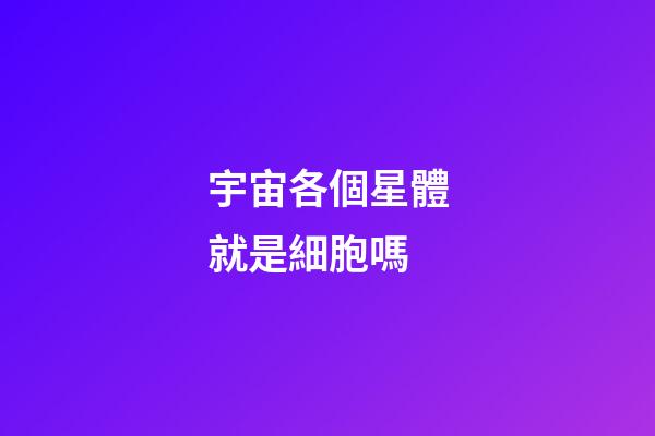 宇宙各個星體就是細胞嗎-第1張-星座運勢-玄機派
