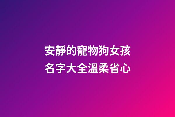 安靜的寵物狗女孩名字大全溫柔省心