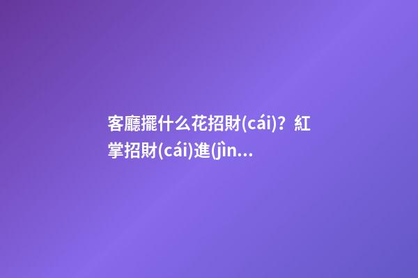 客廳擺什么花招財(cái)？紅掌招財(cái)進(jìn)寶