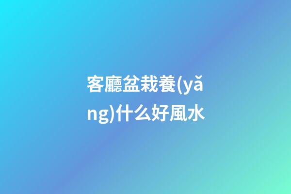 客廳盆栽養(yǎng)什么好風水