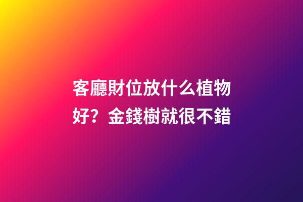 客廳財位放什么植物好？金錢樹就很不錯