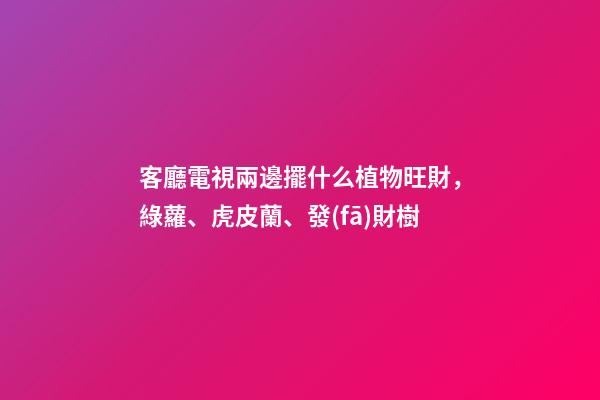 客廳電視兩邊擺什么植物旺財，綠蘿、虎皮蘭、發(fā)財樹