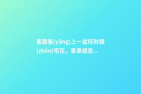 客廳養(yǎng)上一盆旺財鎮(zhèn)宅花，事事順意，就等著財源滾滾來吧！