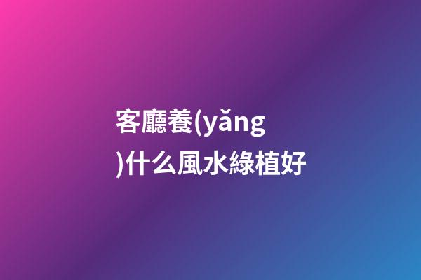 客廳養(yǎng)什么風水綠植好