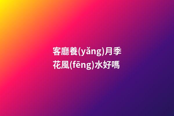 客廳養(yǎng)月季花風(fēng)水好嗎