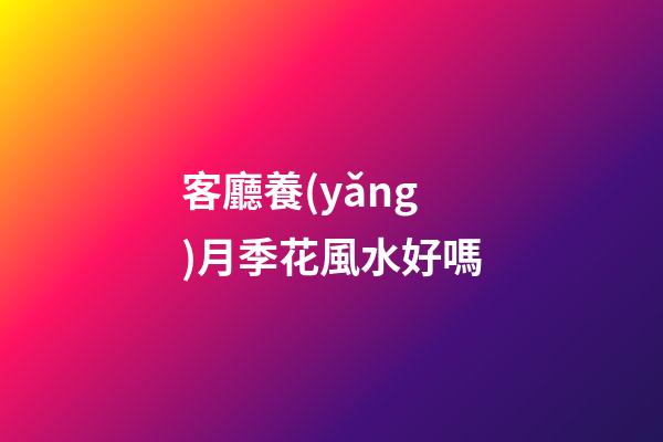 客廳養(yǎng)月季花風水好嗎