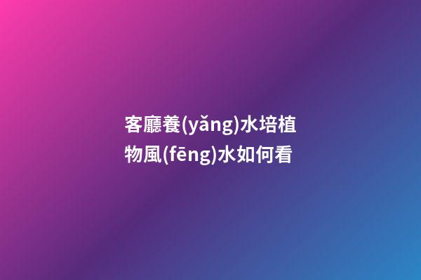 客廳養(yǎng)水培植物風(fēng)水如何看