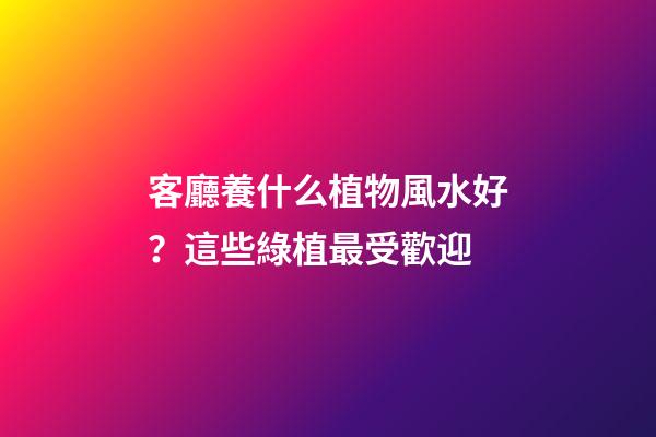 客廳養什么植物風水好？這些綠植最受歡迎