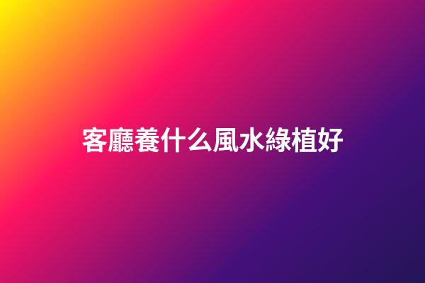 客廳養什么風水綠植好