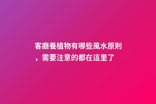 客廳養植物有哪些風水原則，需要注意的都在這里了