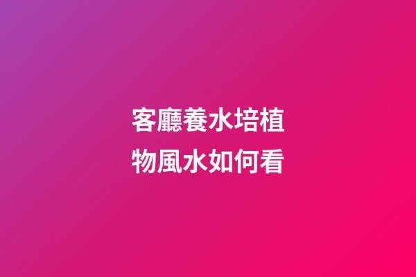 客廳養水培植物風水如何看