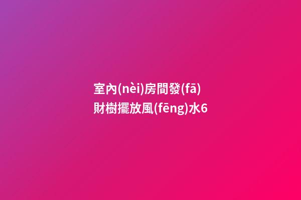 室內(nèi)房間發(fā)財樹擺放風(fēng)水6