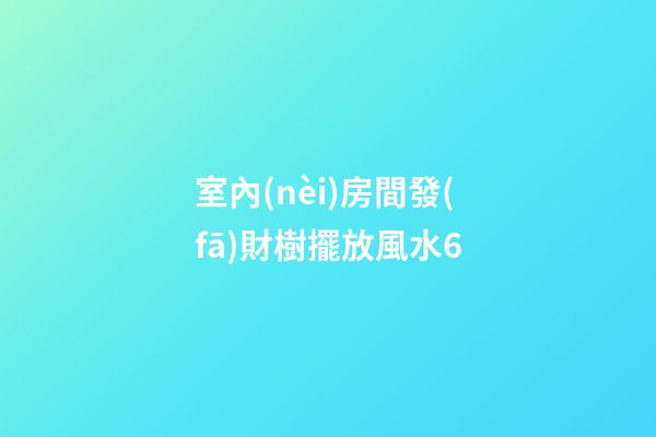室內(nèi)房間發(fā)財樹擺放風水6