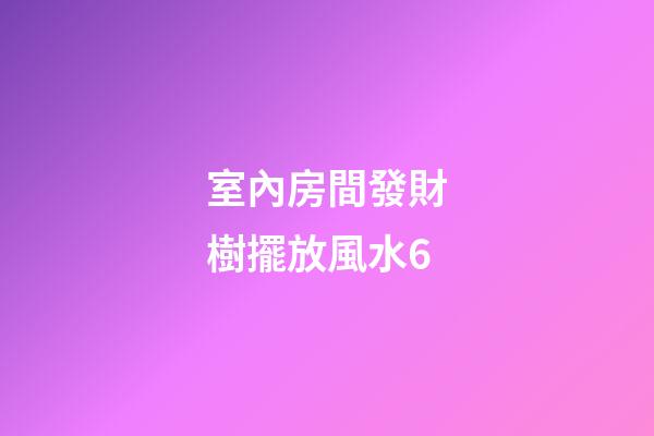 室內房間發財樹擺放風水6