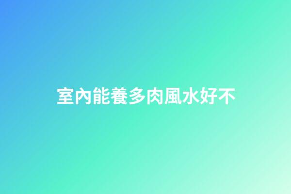室內能養多肉風水好不