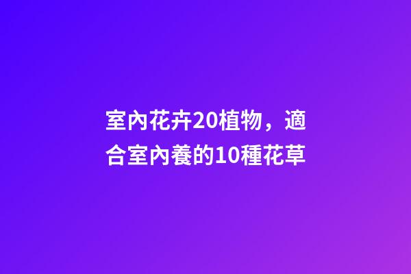 室內花卉20植物，適合室內養的10種花草-第1張-觀點-玄機派