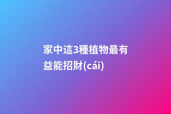 家中這3種植物最有益能招財(cái)