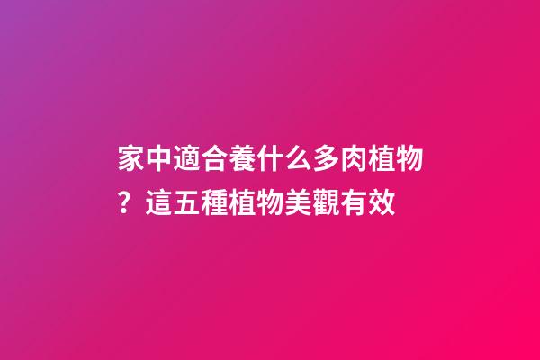 家中適合養什么多肉植物？這五種植物美觀有效
