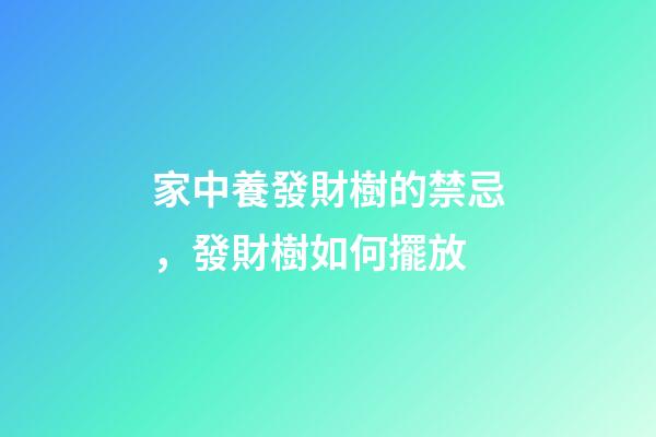 家中養發財樹的禁忌，發財樹如何擺放