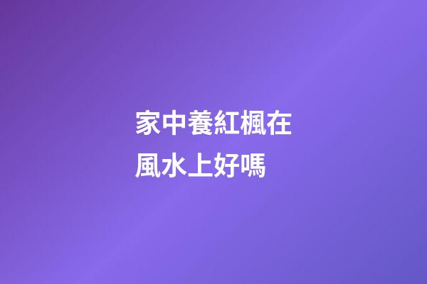 家中養紅楓在風水上好嗎