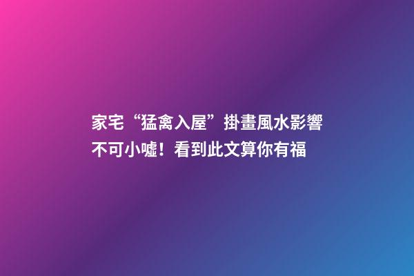 家宅“猛禽入屋”掛畫風水影響不可小噓！看到此文算你有福
