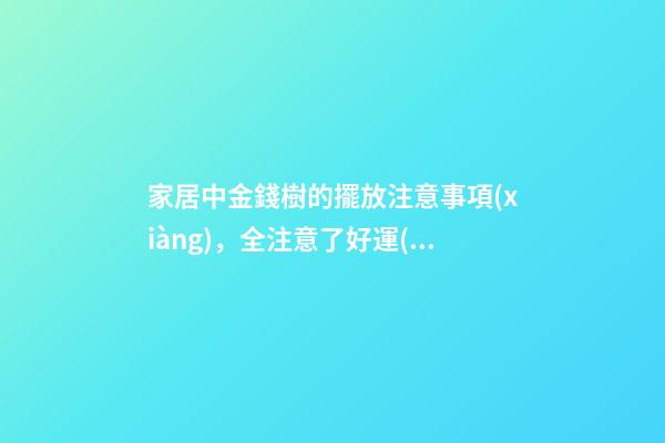 家居中金錢樹的擺放注意事項(xiàng)，全注意了好運(yùn)就來了！