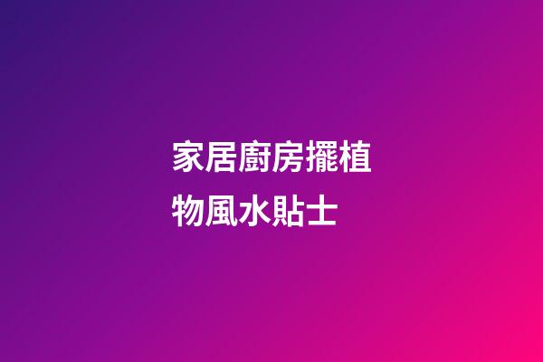 家居廚房擺植物風水貼士