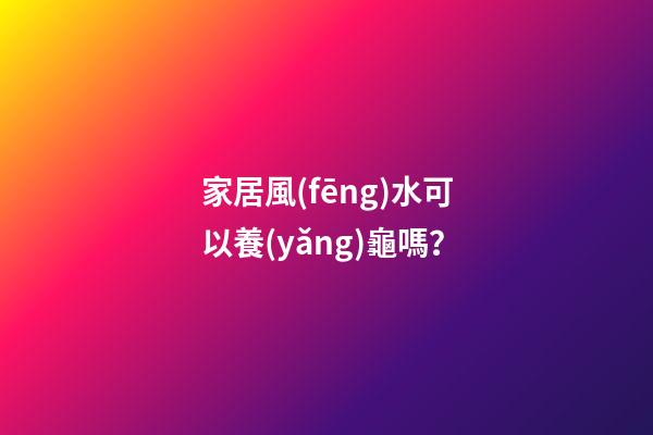 家居風(fēng)水可以養(yǎng)龜嗎？