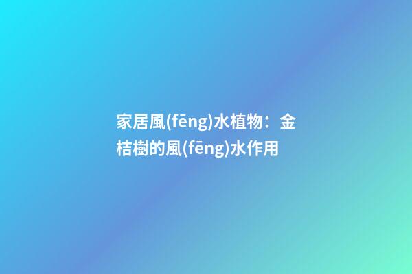 家居風(fēng)水植物：金桔樹的風(fēng)水作用