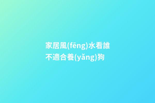 家居風(fēng)水看誰不適合養(yǎng)狗