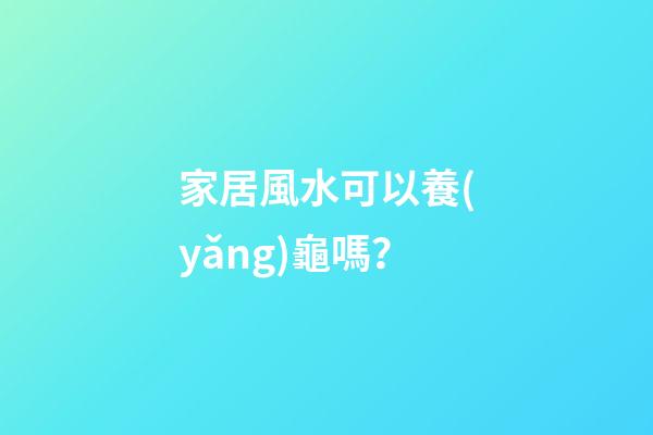 家居風水可以養(yǎng)龜嗎？