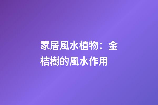 家居風水植物：金桔樹的風水作用