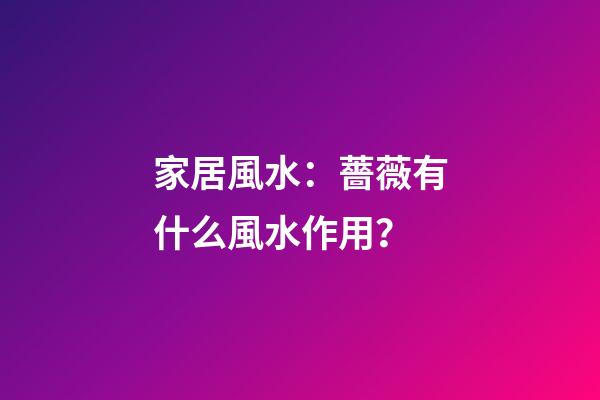 家居風水：薔薇有什么風水作用？
