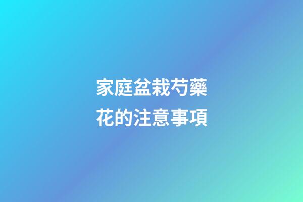 家庭盆栽芍藥花的注意事項
