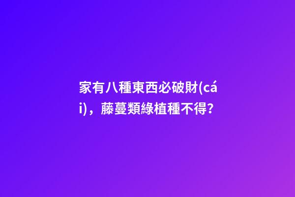 家有八種東西必破財(cái)，藤蔓類綠植種不得？