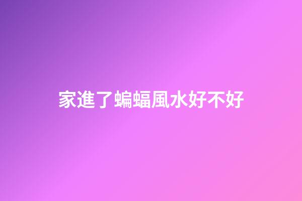 家進了蝙蝠風水好不好