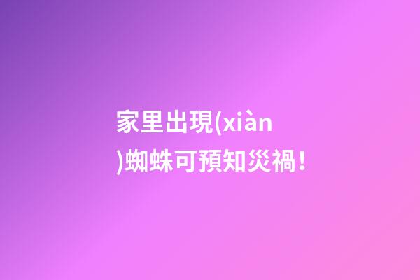 家里出現(xiàn)蜘蛛可預知災禍！