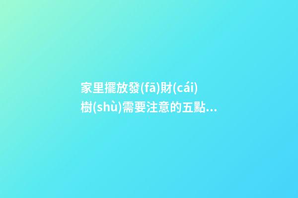 家里擺放發(fā)財(cái)樹(shù)需要注意的五點(diǎn)
